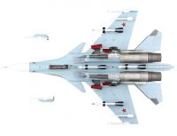 Suchoi SU-30SM (Blue 45)