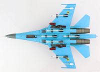 Suchoi SU-27 (Blue 58)