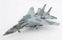 Grumman F-14B Tomcat (162919 / AA101)